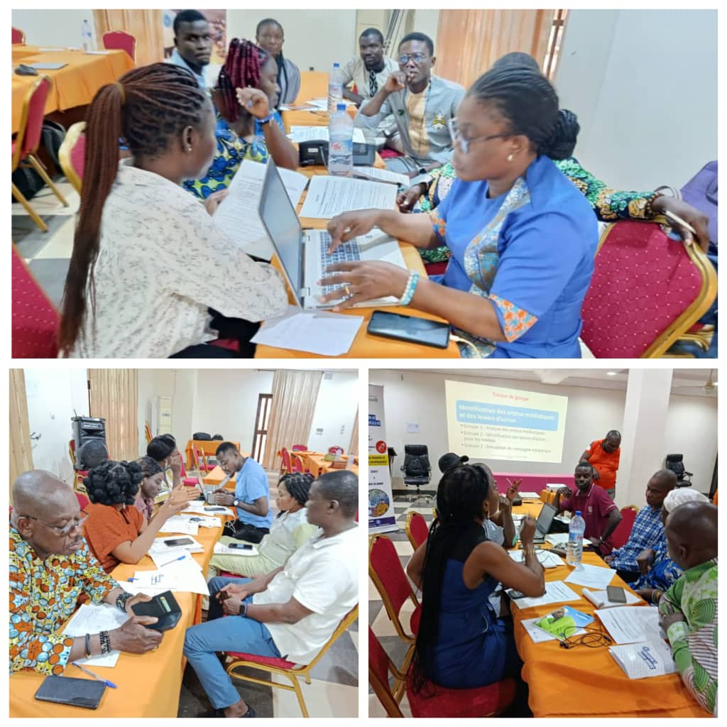 Santé reproductive au Bénin : Médecins du Monde outille une trentaine de journalistes sur le cadre légal